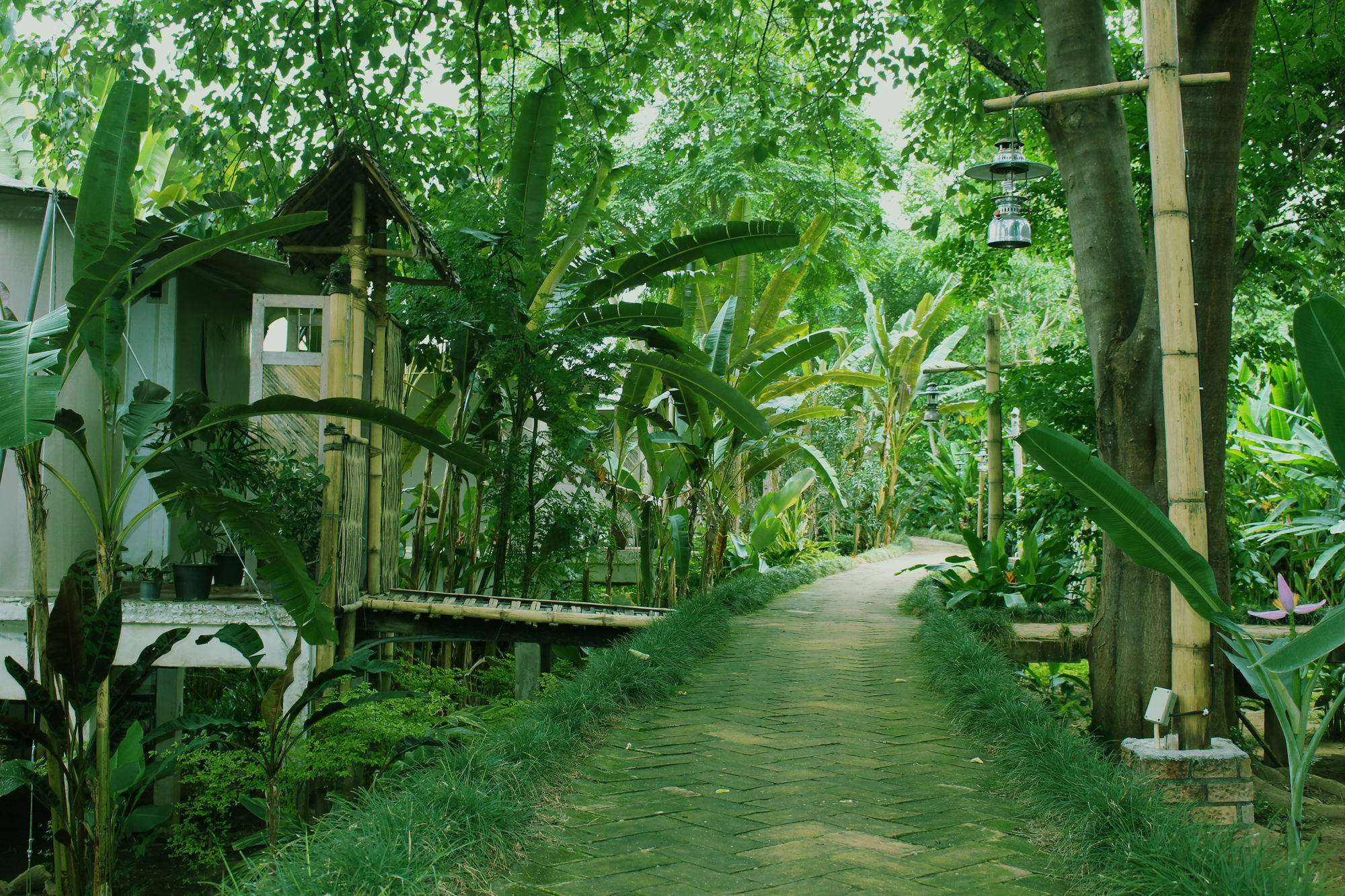 Pai Vimaan Resort Mae Hong Son Exterior photo